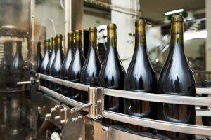 Telltale signs your winery may need professional coaching for automation success